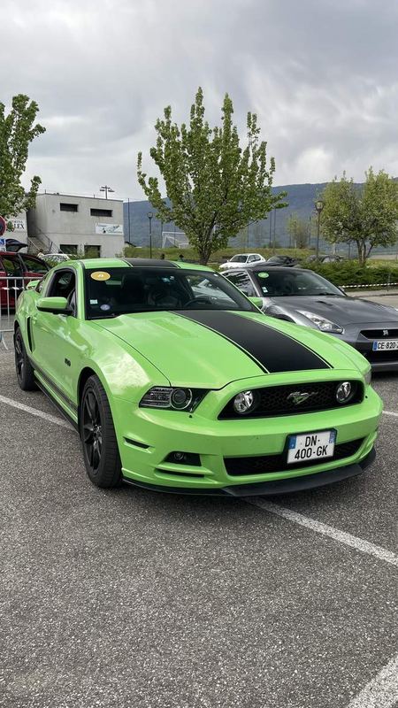 Ford Mustang Gt (Rick Cornichon)