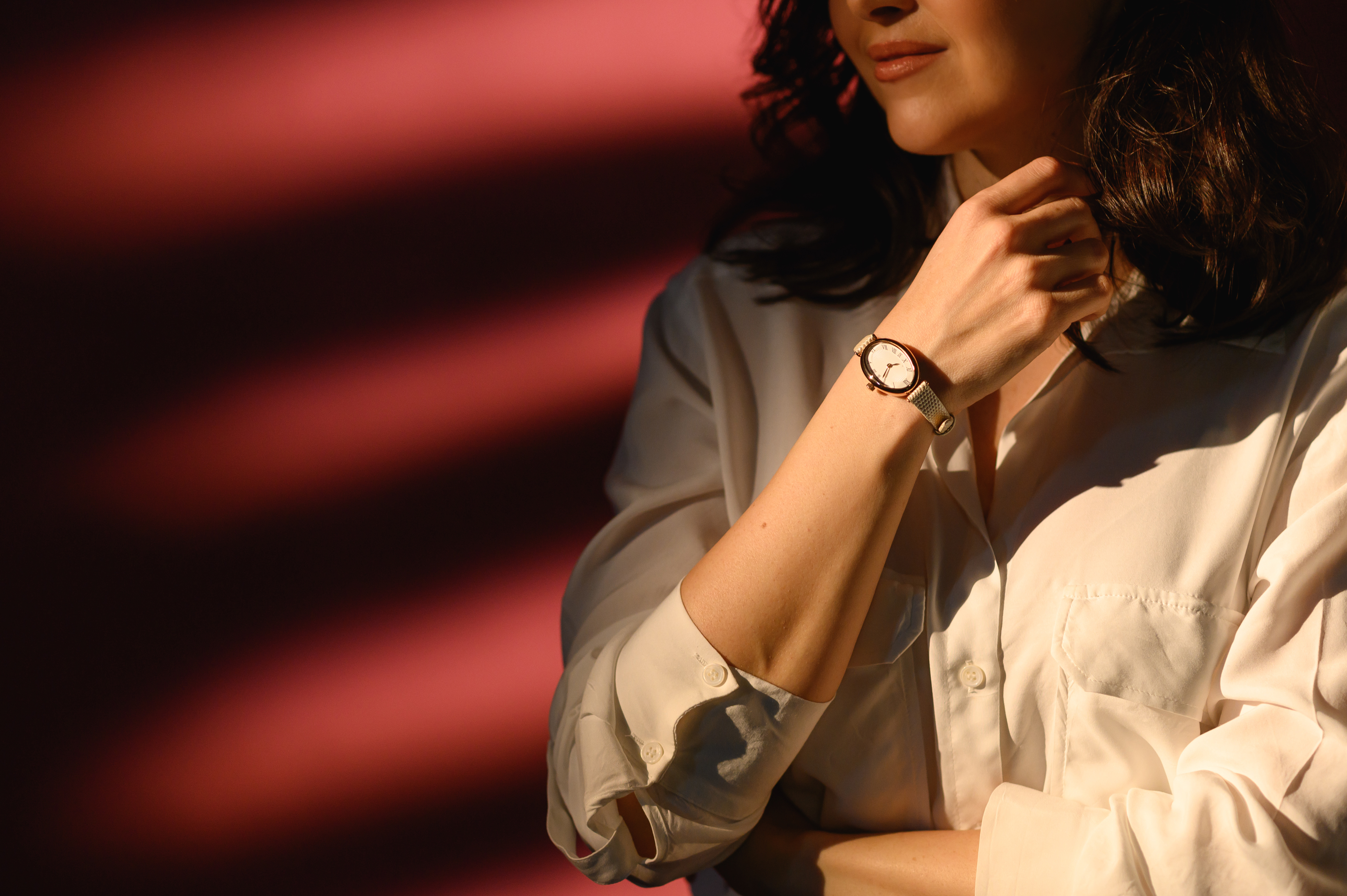 The Swiss Collector — montre de luxe